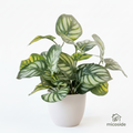Planta artificial