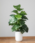 Palmera monstera artificial