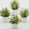 Plantas bonsái artificial