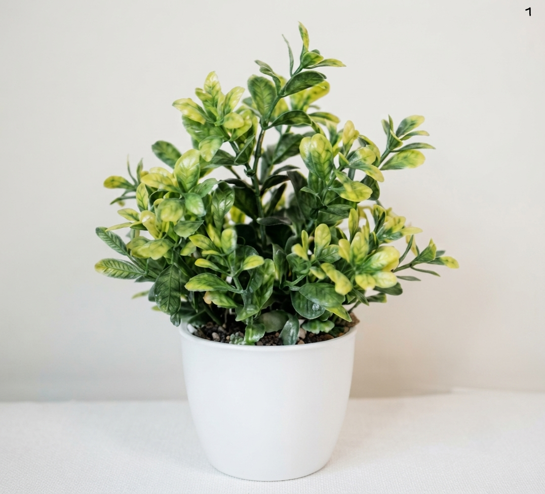 Plantas bonsái artificial