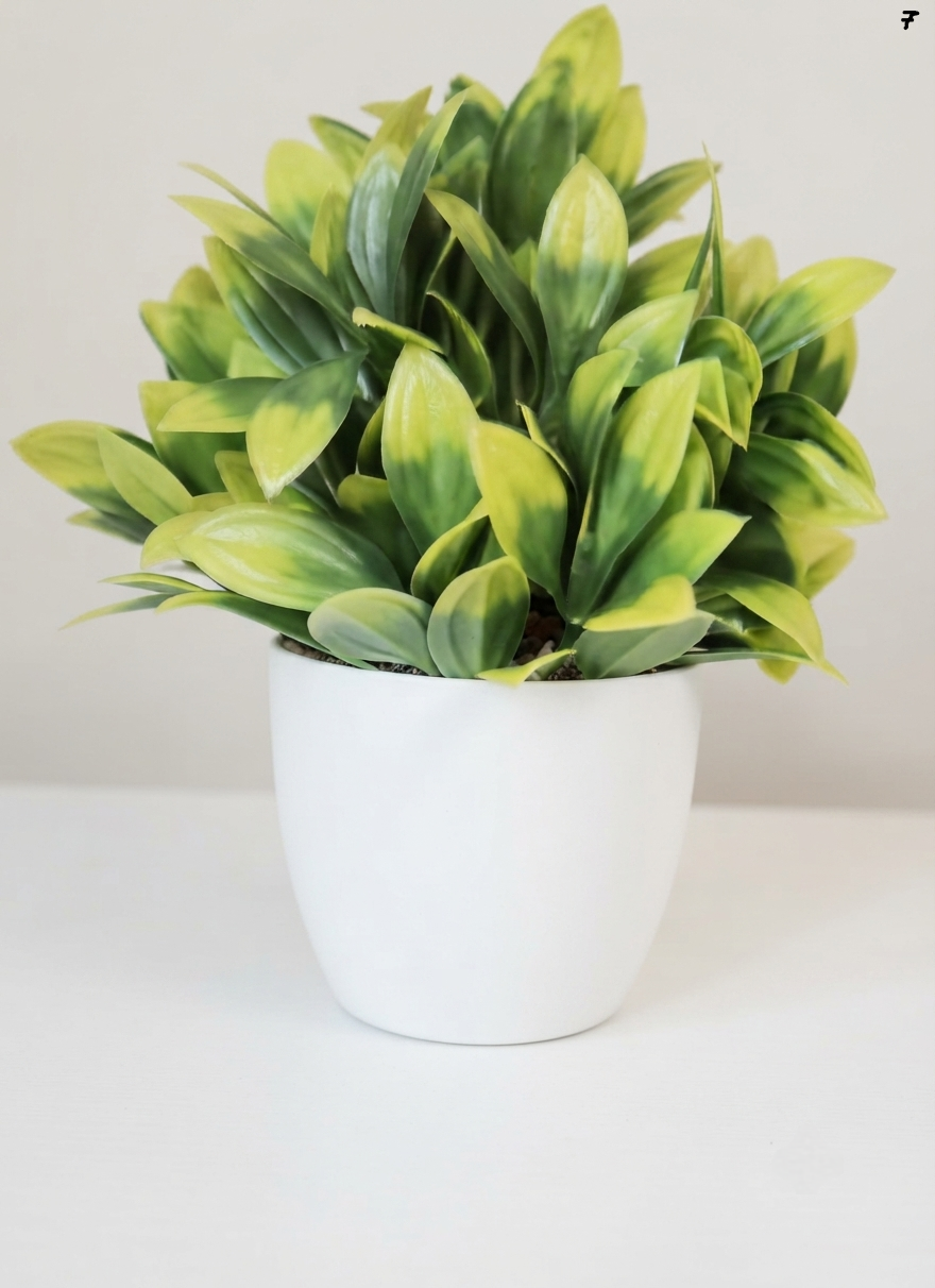 Plantas bonsái artificial