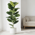 Planta Ficus Lyrata artificial