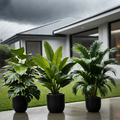 Juego de plantas artificiales